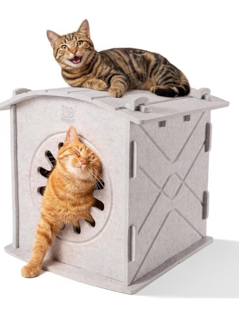 Apasiri Cat house